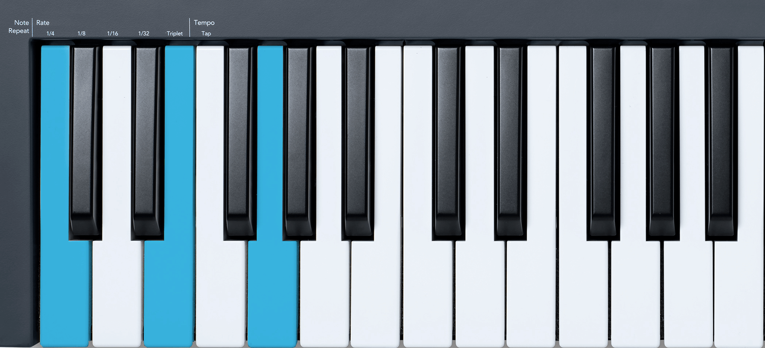 FLkey_Standalone_Features_Fixed_Chord_1