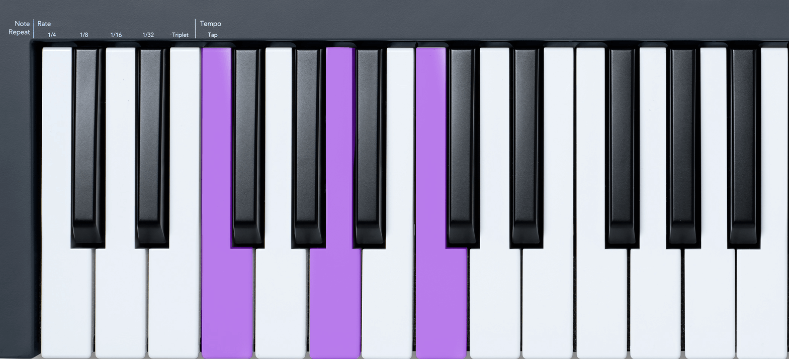 FLkey_Standalone_Features_Fixed_Chord_2