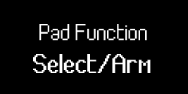 Launchkey's screen when you enter Select/Arm mode.