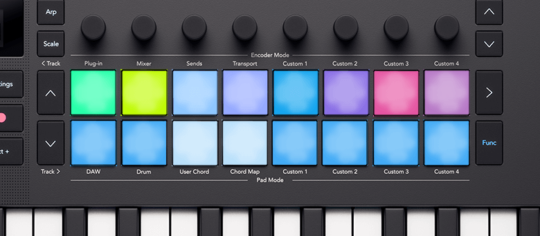 Ableton's Clip Solo function, the bottom row of pads are lit blue to show the Solo states of Ableton's tracks.