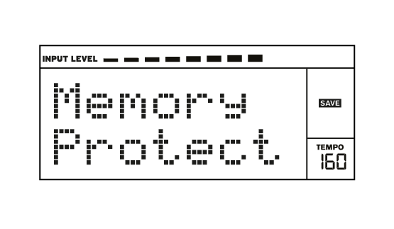 memory_protect.png