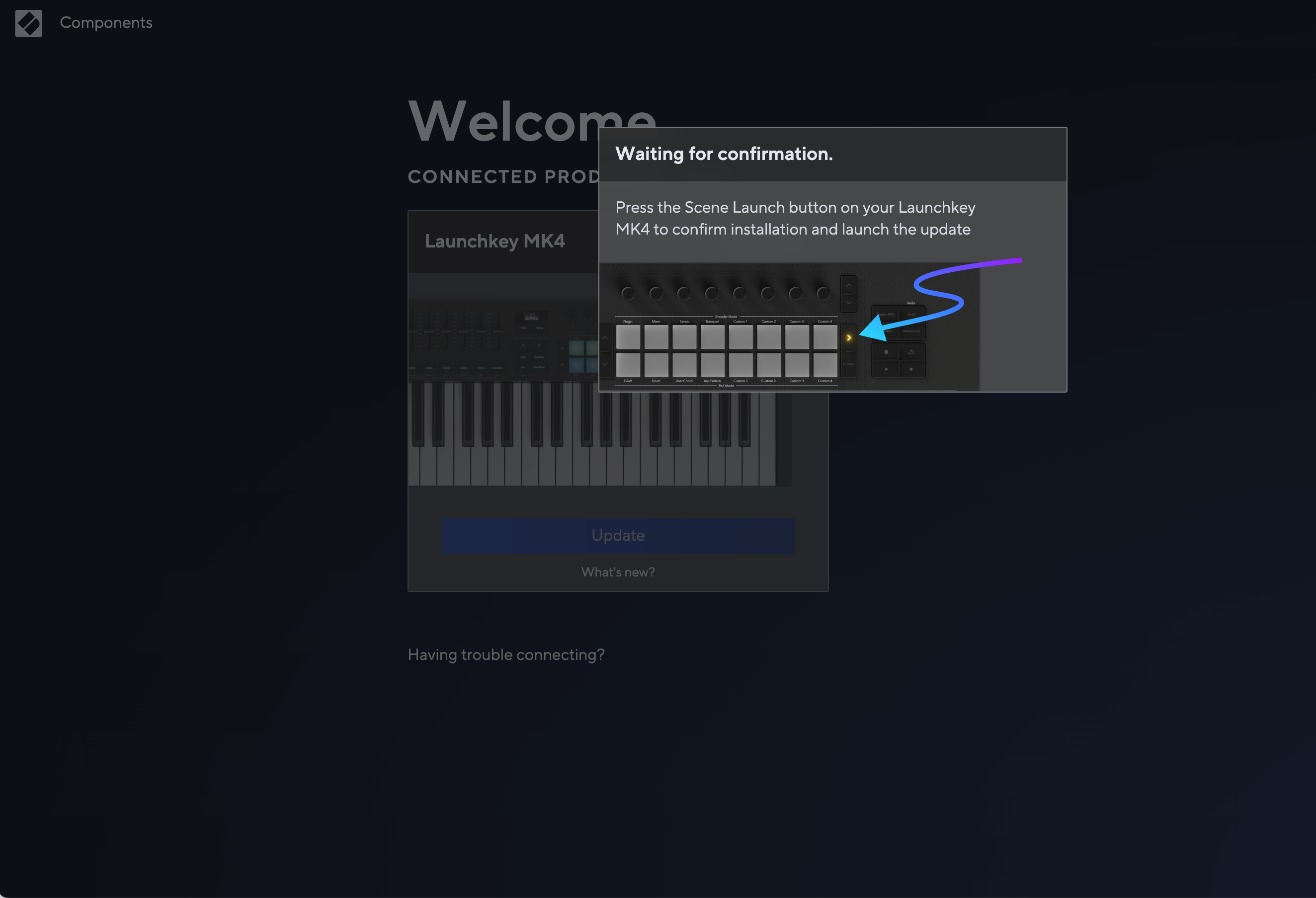 Novation_Play_Update_Scene_Launch.png
