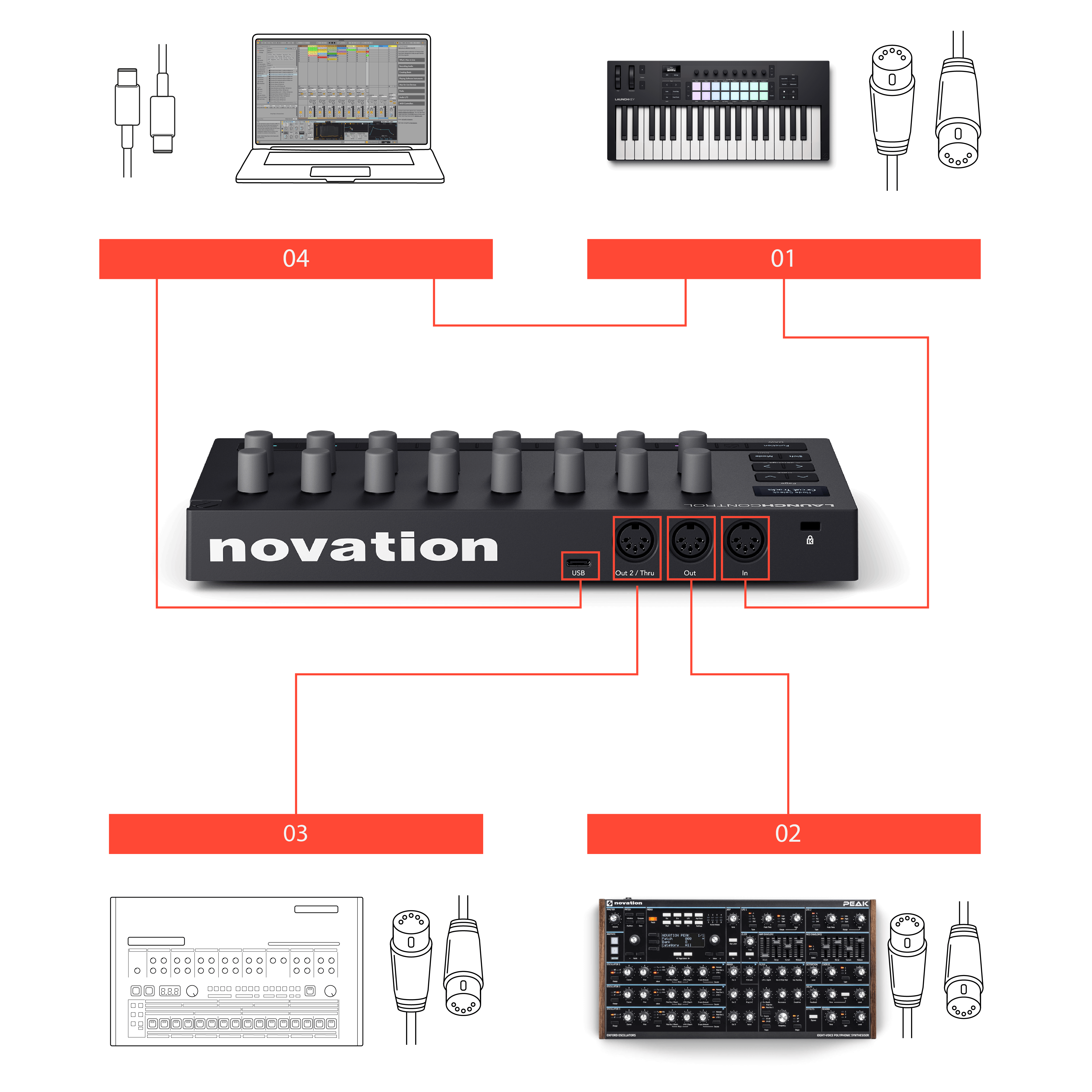 LC3_Hybrid_setup.png
